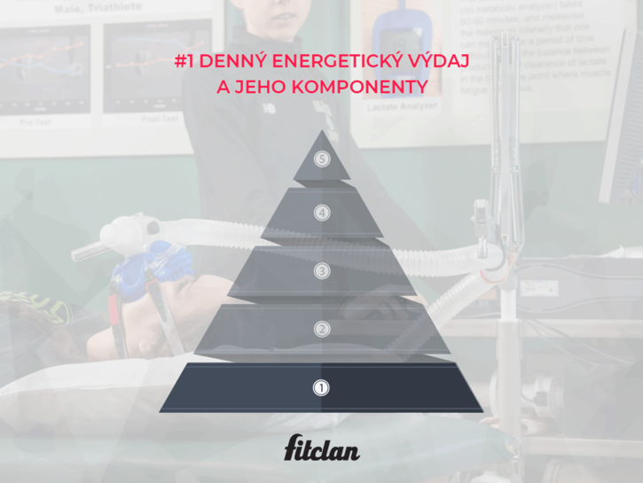 Pyramída energetického výdaja #1: Denný energetický výdaj a jeho komponenty