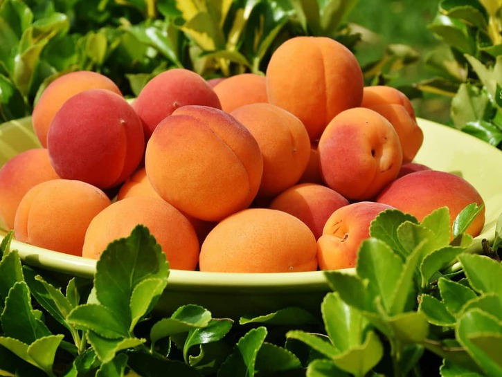 Marhuľa je obľúbené letné ovocie a ponúka viac, ako len osvieženie s nízkym počtom kalórií
