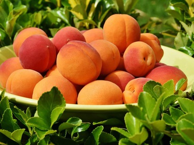 Marhuľa je obľúbené letné ovocie a ponúka viac, ako len osvieženie s nízkym počtom kalórií