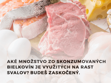 Aké množstvo zo skonzumovaných bielkovín je využitých na rast svalov?