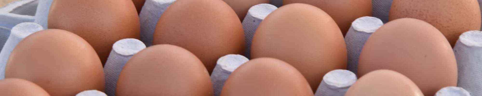 Rozprava o vajciach: Zaslúžia si svoju zlú reputáciu?