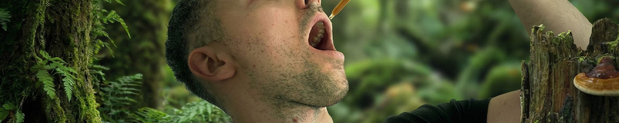 Čo ti o medicinálnych hubách nikto nepovie: účinok často stojí na detailoch