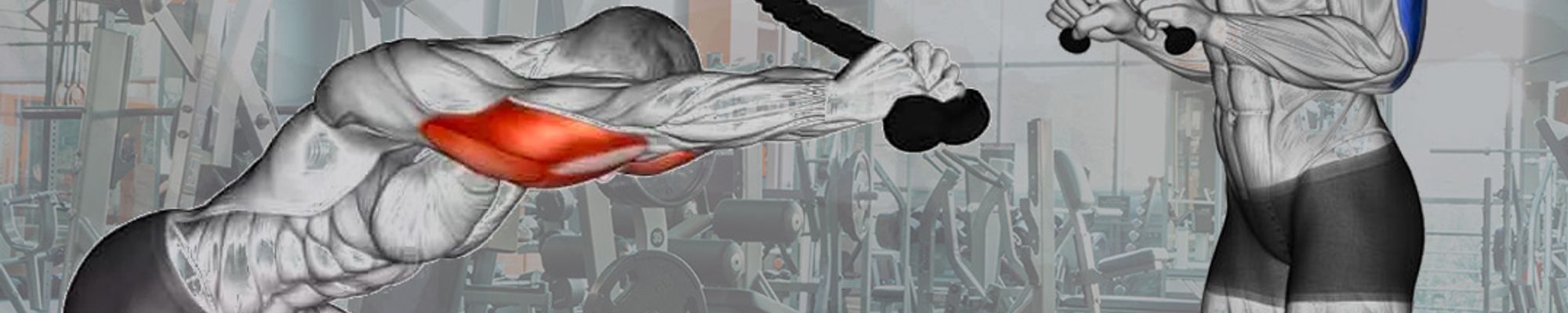 Tricepsové extenzie za hlavou vs. pred telom. Omnoho lepší nárast tricepsu pri prvom variante?