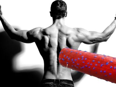 Svalová pamäť nie je mýtus. Len o nej vieme menej, než si fitness svet myslí