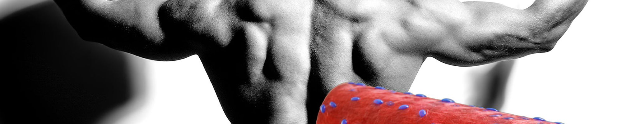 Svalová pamäť nie je mýtus. Len o nej vieme menej, než si fitness svet myslí